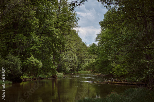 The Krutynia river in Masuria, Poland