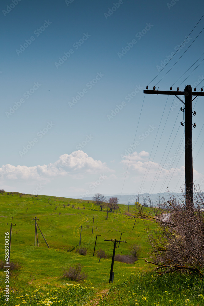 Old power lines in the field