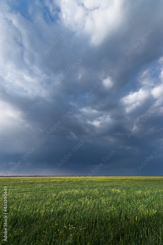 green wheat field landscape, landscape field outside the city agriculture green wheat field landscape, landscape field outside the city agriculture