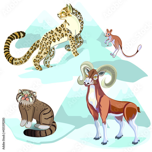 Wild animals in the reserve of Kazakhstan. Mountain sheep, snow leopard, jerboa, Pallas's cat