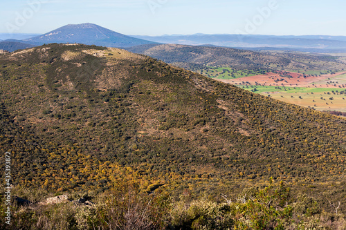 Sierra Luenga. Montes de Toledo. España. Europa.