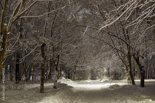 Empty Alley in cold winter park with snow at night and light background
