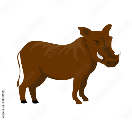 Cartoon flat warthog. Vector illustration. Wild boar. Drawing animal for children. Zoo for kids.