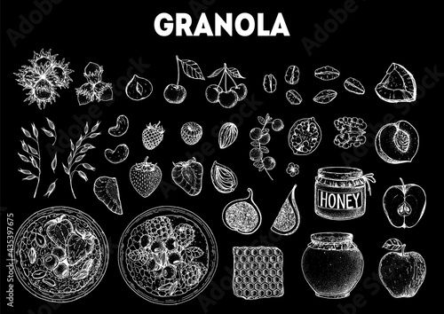 Granola ingredients illustration. Oat flakes , berries, fruits and nuts hand drawn sketch. Granola Breakfast. Muesli food menu design. Hand drawn vector illustration. Granola design