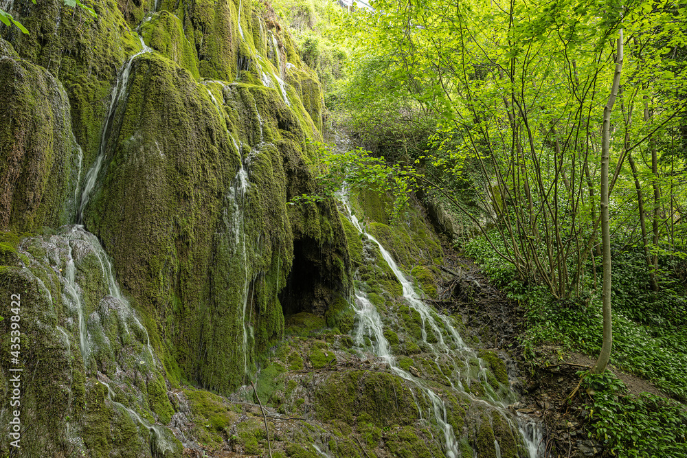 Wasserbäche fliessen über mit Planzen überwachsene Felsen, bei St. Maurice, Kanton Wallis, Schweiz Wasserbäche fliessen über mit Planzen überwachsene Felsen, bei St. Maurice, Kanton Wallis, Schweiz