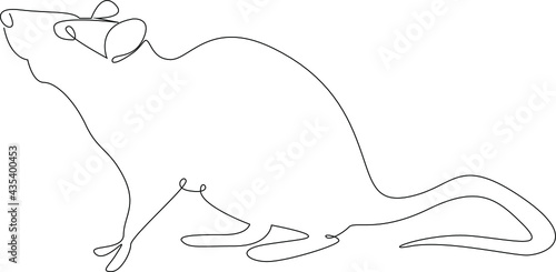 Happy pets. A pet rat. Vector line art illustration