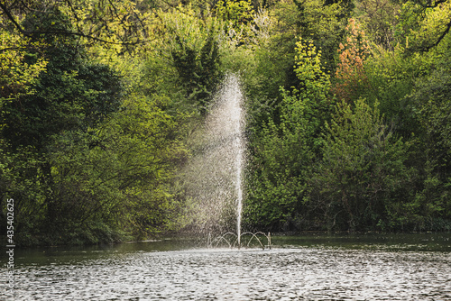 Wallpaper Mural A fountain in a public park Torontodigital.ca