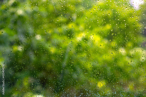 Raindrops. Wet window glass during the rain. Green leaves of trees out of focus. Focus is on the raindrops.