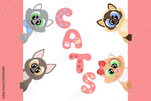 Cartoon domestic cats. Cute kittens of different breeds with big eyes are looking out from behind the wall and smiling. Vector illustration