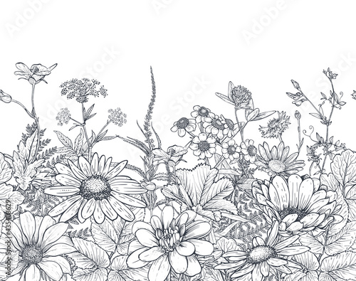 Vector seamless pattern with hand drawn herbs and wildflowers