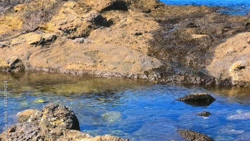 三浦市 海岸 三浦市 海岸