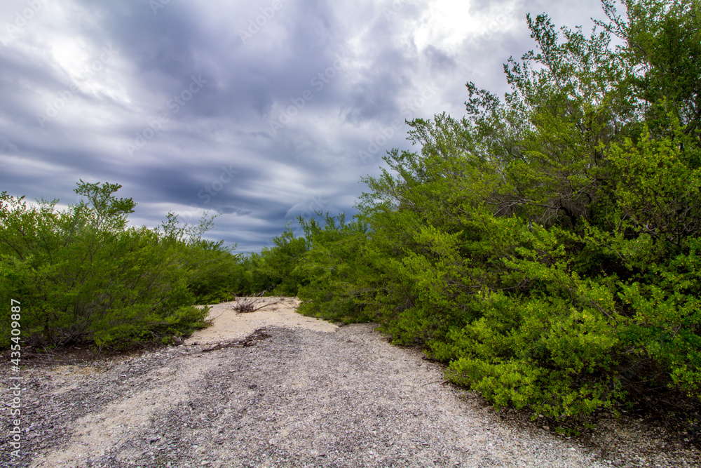 Obraz premium road in the mountains