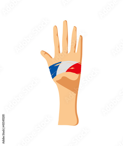 hand french flag