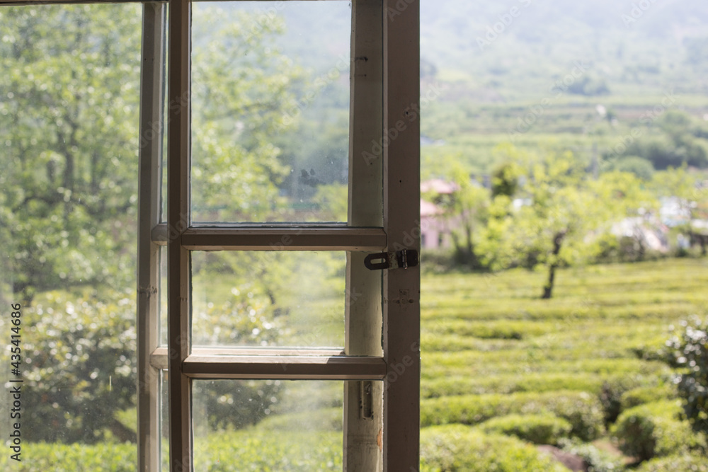 the beautiful landscape of green tea farm in Korea. the beautiful landscape of green tea farm in Korea.