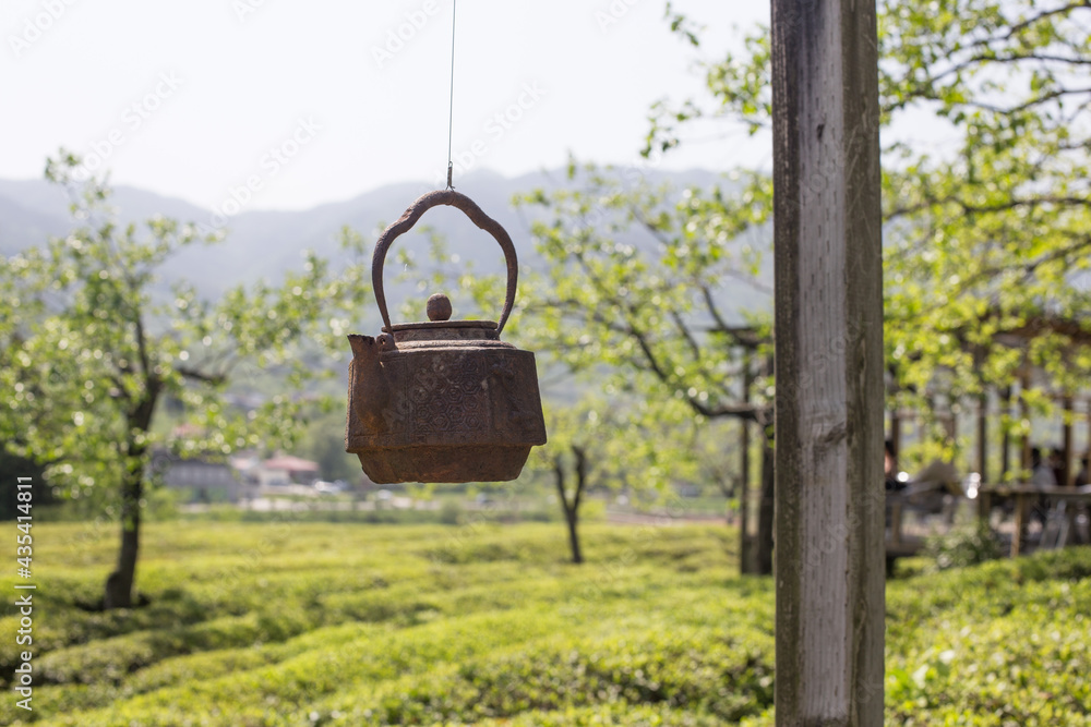 the beautiful landscape of green tea farm in Korea.