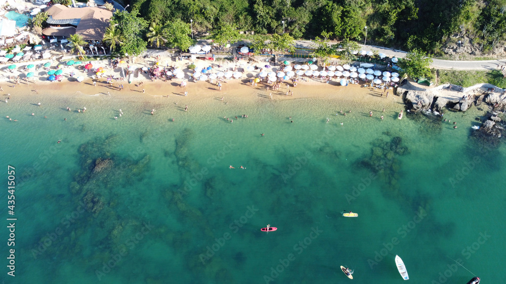 beach with trees drone