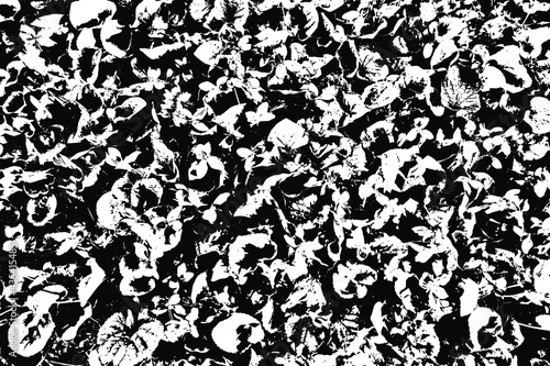 Grunge texture of a black and white photo with violets. Abstract monochrome background. Vector illustration. Overlay Template.