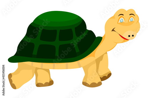 isolated tortoise on white background vector design