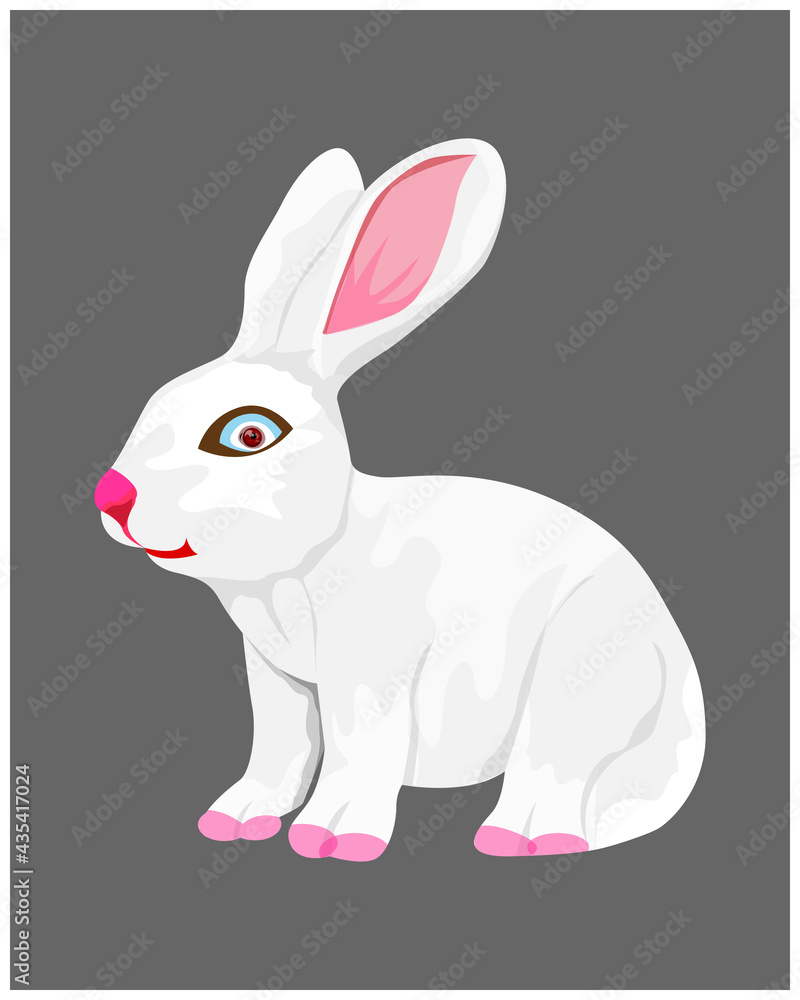 Fototapeta premium isolated white rabbit vector design