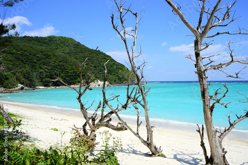 Beautiful tropical island. Calm waves on the blue water with trees. Ino Beach in Zamami island, Okinawa, Japan - 日本 沖縄 座間味島 イノーの浜 