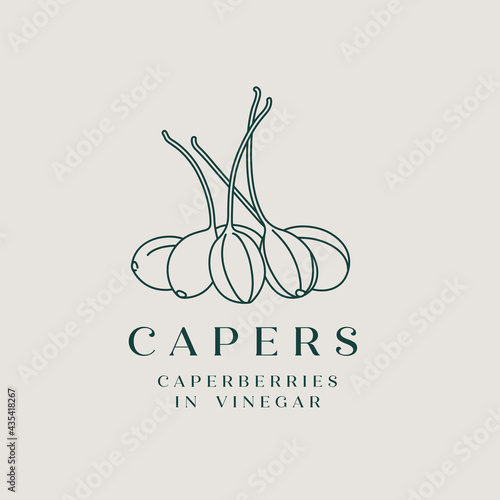 Vector illustration pickled capers - simple linear style. Logo composition with caperberries and typography.
