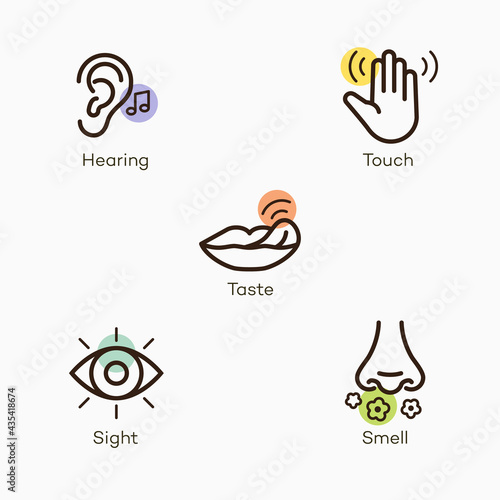 Simple icons with color accent for the basic five human senses - hearing, touch, taste, sight and smell. Easy to use for your website or presentation.
