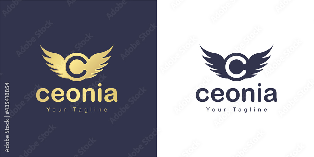 The letter C logo has a flying concept