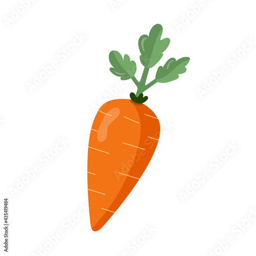 Orange carrot with green leaves. Isolated on white