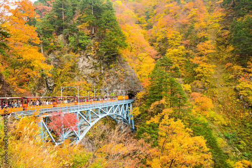 紅葉の黒部渓谷トロッコ列車