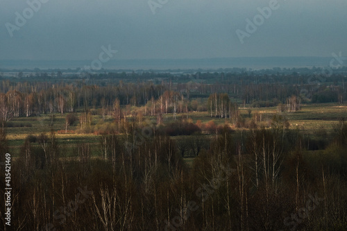 Top view of a field with trees