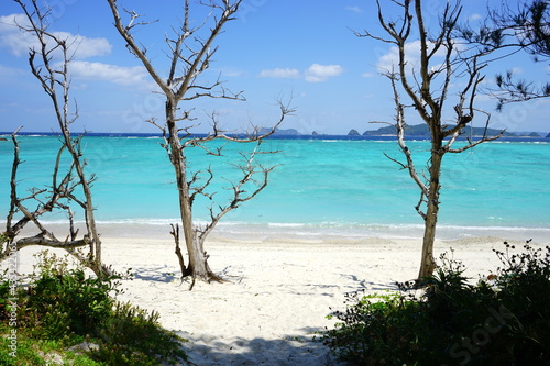 Fototapeta Naklejka Na Ścianę i Meble -  Beautiful tropical island. Calm waves on the blue water with trees. Ino Beach in Zamami island, Okinawa, Japan - 日本 沖縄 座間味島 イノーの浜	