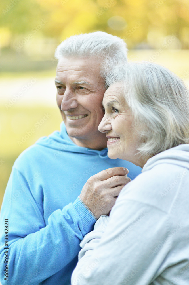 portrait of beautiful senior couple in the park portrait of beautiful senior couple in the park