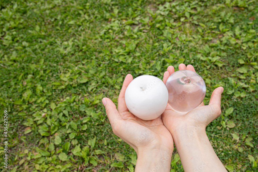 白いりんごと透明なりんごを手に持っている Stock Photo Adobe Stock