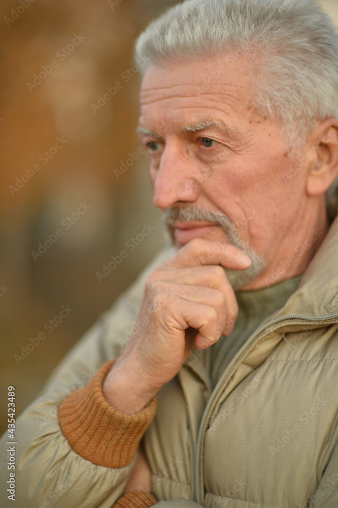 portrait of thinking senior man in park portrait of thinking senior man in park