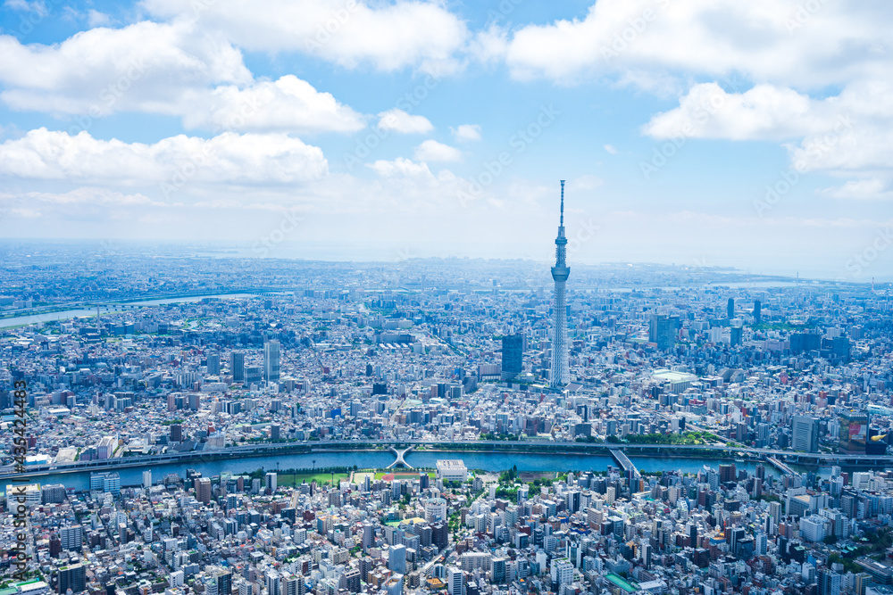 Fototapeta premium 東京都心部 ヘリコプター空撮写真