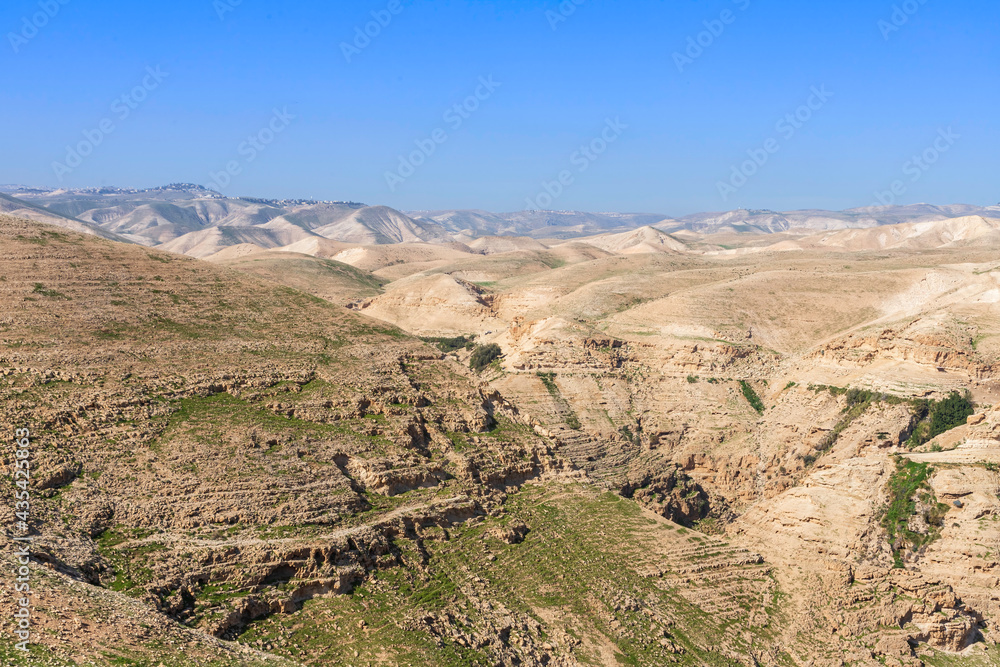 View of the slopes of the sandy mountains of the Judean Desert covered with spring vegetation