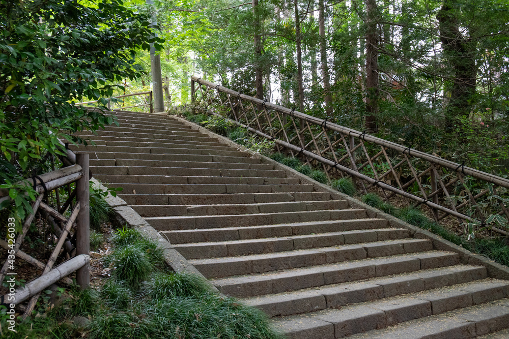Fototapeta premium 神社の階段
