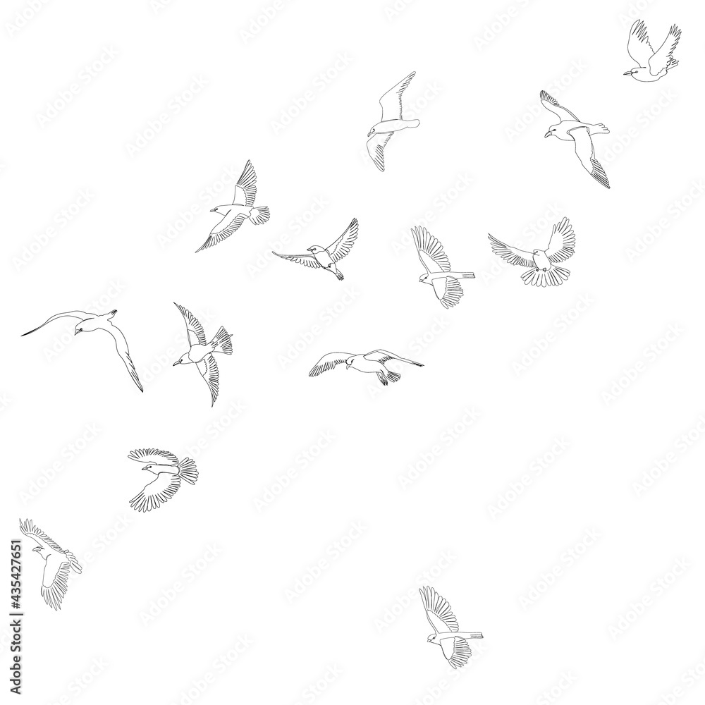 sketch of flying flock of birds, isolated, vector
