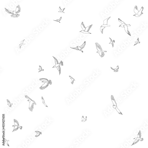 sketch of flying flock of birds, isolated