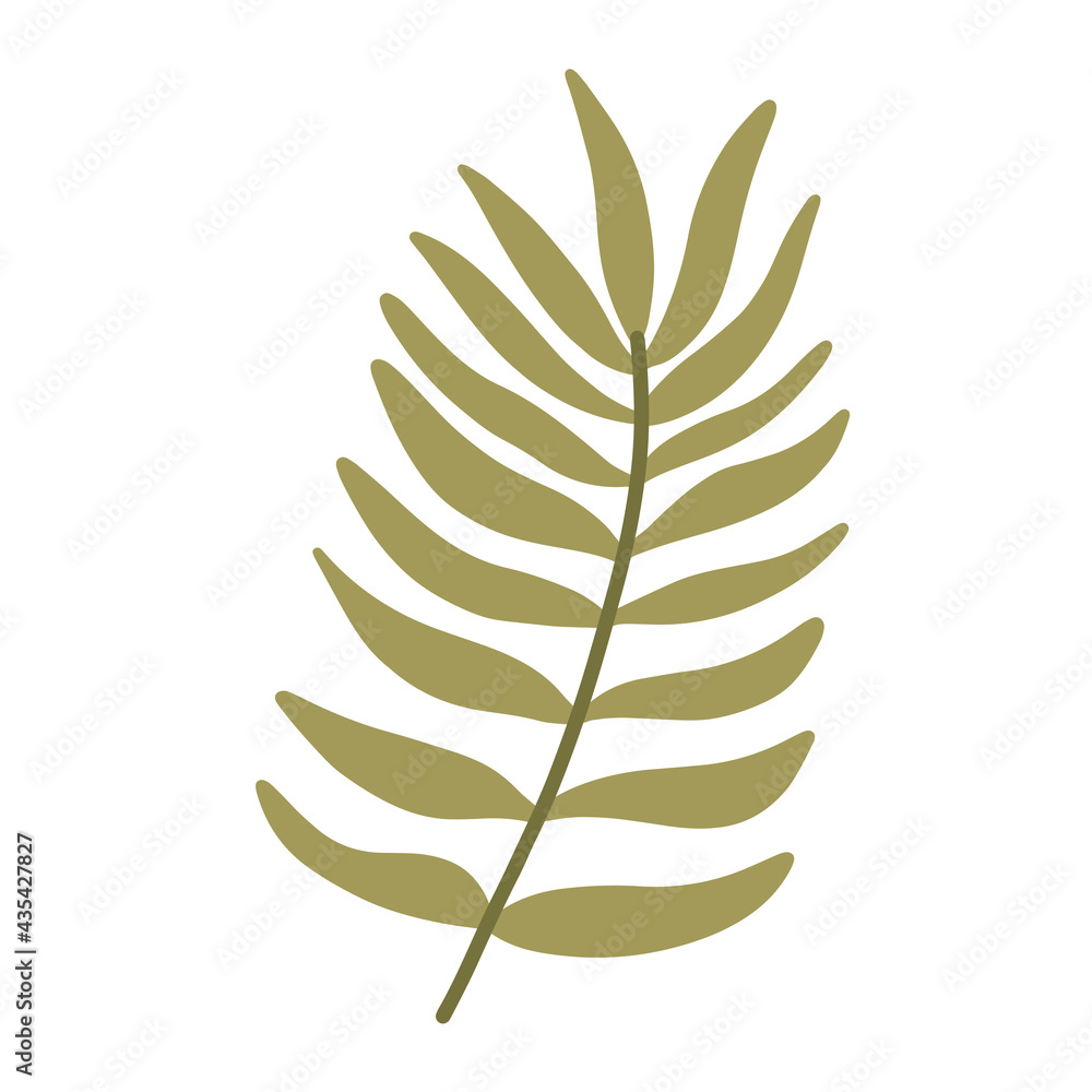 Green twig. Exotic tropical plant. Hand drawn vector illustration. Isolated element on a white background. Branch Green twig. Exotic tropical plant. Hand drawn vector illustration. Isolated element on a white background. Branch