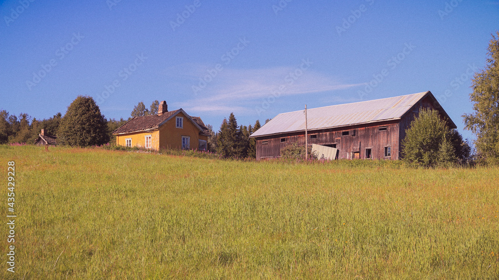 Abandoned farm in summer. Abandoned farm in summer.