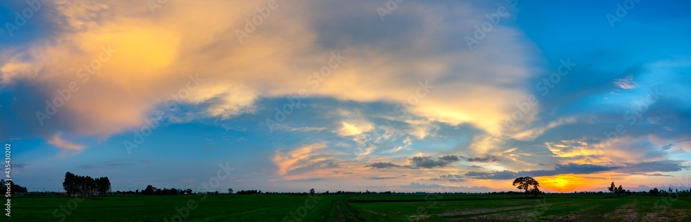 Panorama beautiful sunset with dark cloud over rice field in Thailand.blue sky with clouds.Fiery orange sunset sky. Beautiful sky.Sunrise with cloud over rice field.