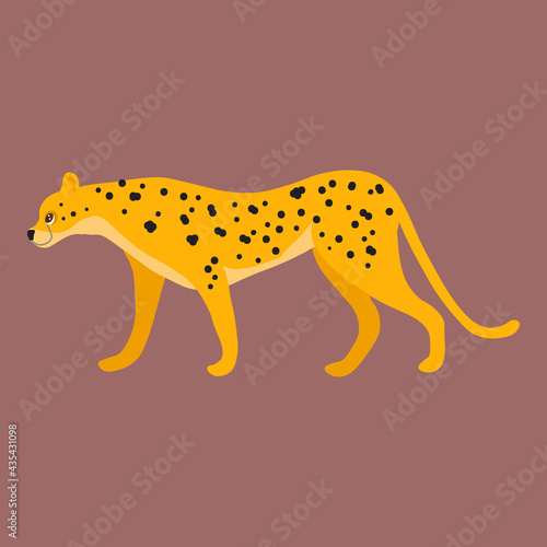 Cute leopard is a cartoon animal character. Vector illustration in a flat style  isolated on a dark background.