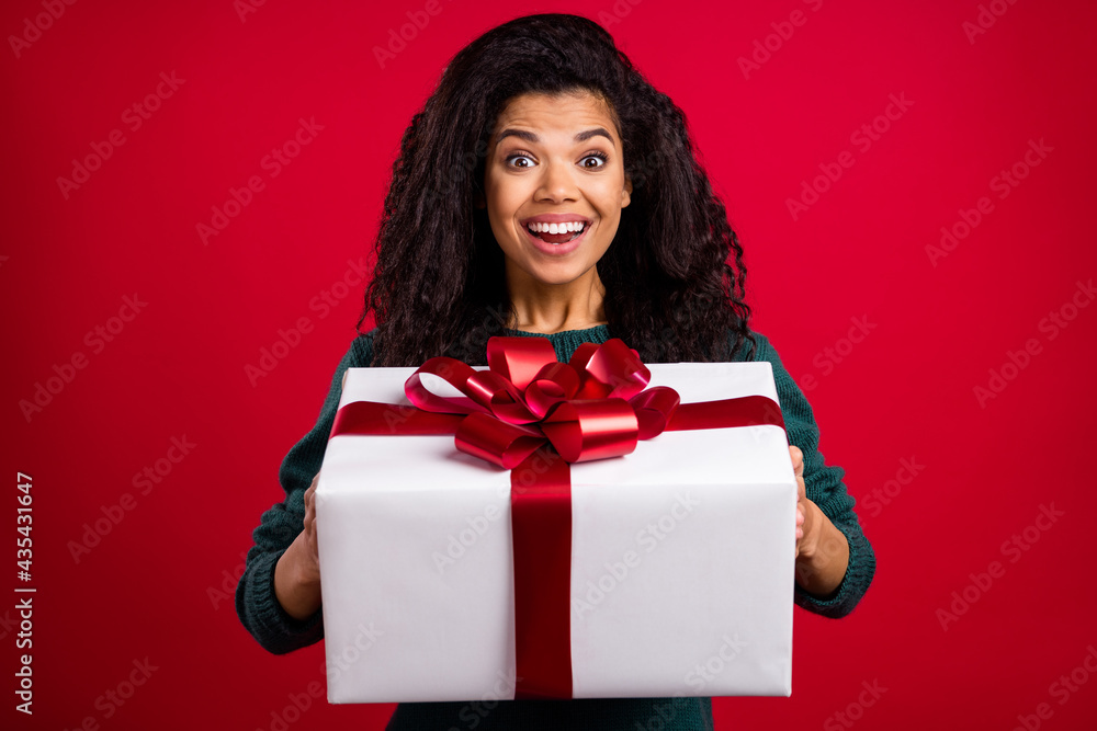 Photo of happy nice afro american young woman amazed hold hands present isolated on red color background Photo of happy nice afro american young woman amazed hold hands present isolated on red color background