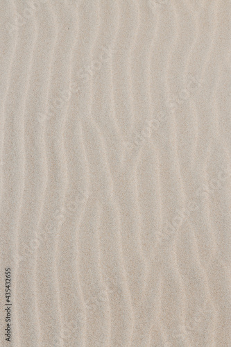 Vertical Sand Dunes and Beach Texture Background
