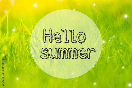Banner hello summer on the grass background . Spring grass in the evening light. Nature. Young green grass. Photo with text. Grass with text. Hello summer. New season.