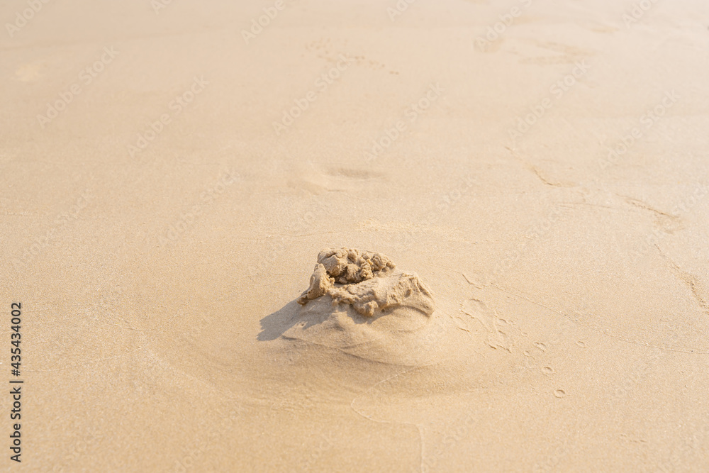 Sand texture background on the beach. Light beige sea sand texture pattern. Sand texture background on the beach. Light beige sea sand texture pattern.