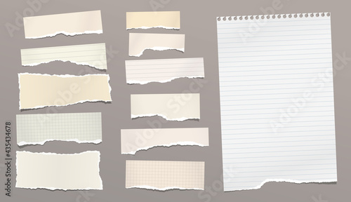 Set of torn yellow paper stripes and note, notebook sheet stuck on brown background. Vector illustration