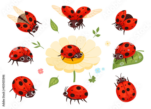 Red ladybugs. View nature bugs flying summer insects macro closing nowaday pictures collection isolated