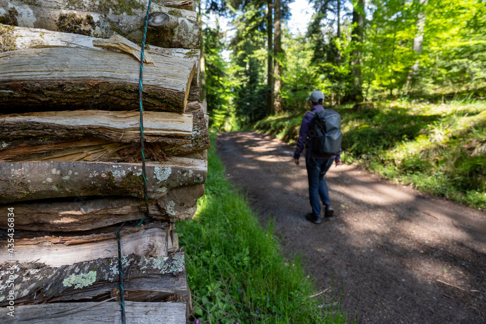 Steinach im Schwarzwald Steinach im Schwarzwald